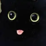 freeedon