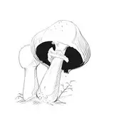 ぼまいえ