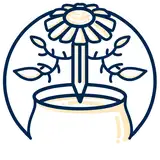 ChamomileTea