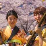 Learn Shamisen