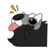 Conrad