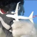 yacro