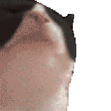 carcinogensda